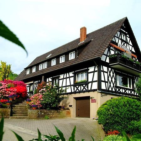 Pension Am Weinberg Засбахвальден Экстерьер фото